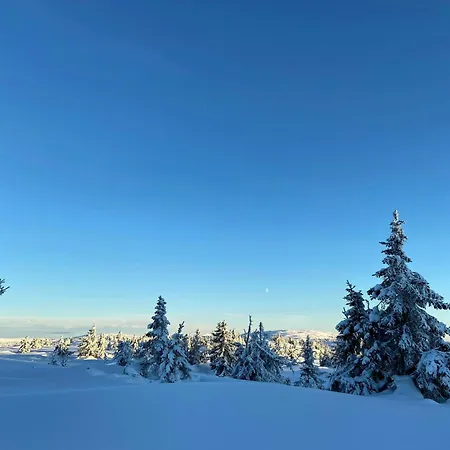 Architect-designed Mountain At Mosetertoppen * Эйер